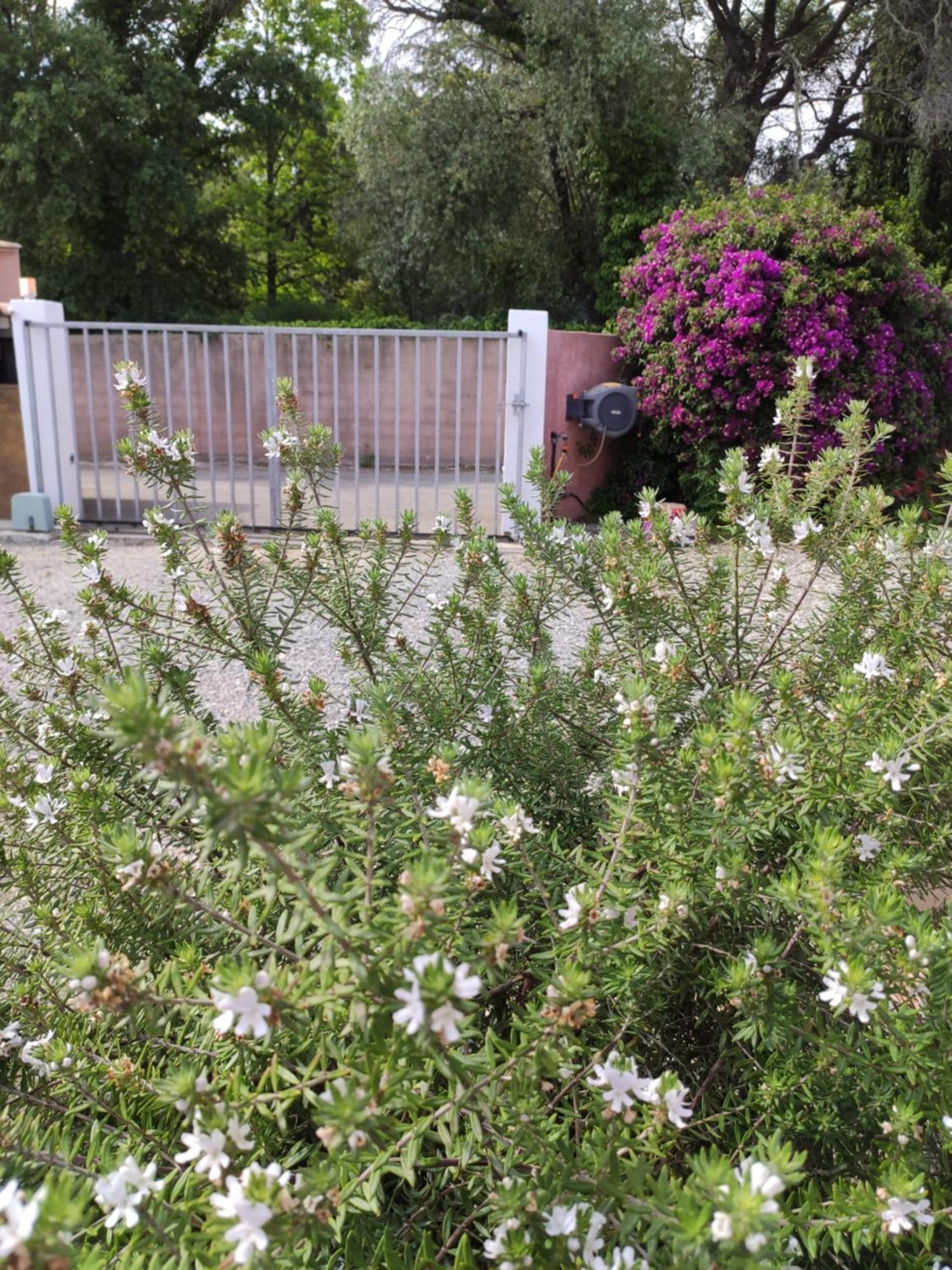Holiday home Brimi Ghisonaccia